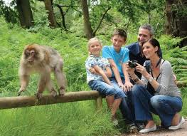 Days Out: Trentham Monkey Forest