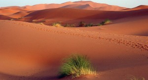 Morocco wants to build 2GW of wind