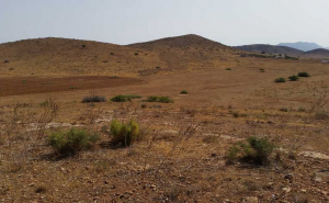 Hassi Berkane spans some 5,116 square kilometres in north eastern Morocco