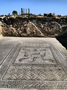 The well-preserved mosaics on the edge of the Roman empire. Photo: Allison Wallace