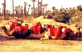 Morocco: The Jewel Of Africa