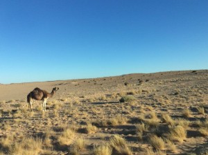 Morocco