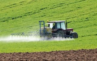 Morocco to revamp agricultural development strategy