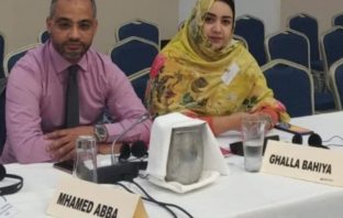 UN-Western Sahara: Polisario beset by Committee of 24