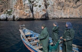 Moroccan fisherwomen set their eyes on the sea, break gender barriers