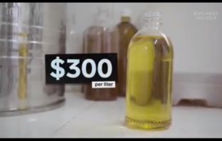 Argan oil can cost as much as $300 per liter. Why is it so expensive?