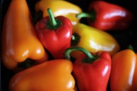 Morocco: Vegetables Production Growing Fast On EU Markets