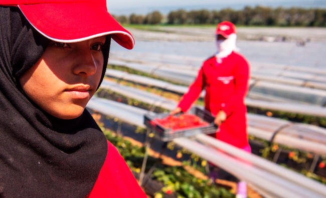 World Bank Approves $150m For Morocco