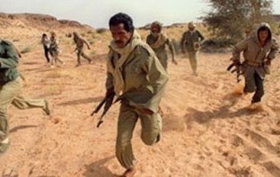 Polisario’s Volte Face In Guerguarat
