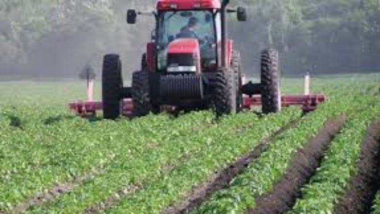 Morocco Enjoys Bumper Harvest