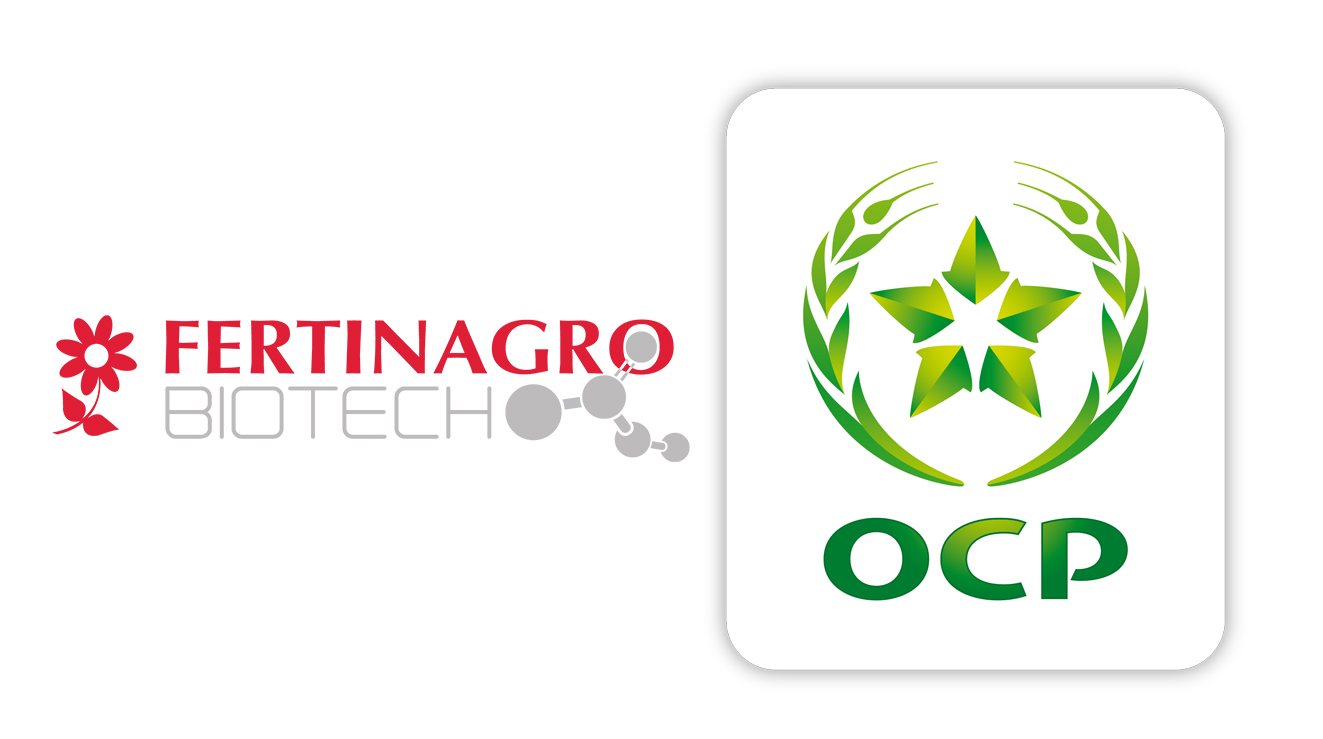 Morocco’s Phosphate Company Completes Acquisition of 20 pct Stake of Spain’s Fertilizer Giant