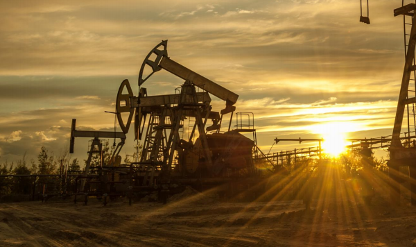Tough prices hit SDX despite production increase